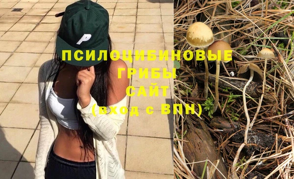 синтетический гашиш Мегион