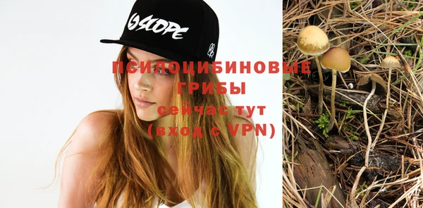 таблы Михайловск