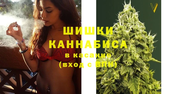 молекула духа Медногорск