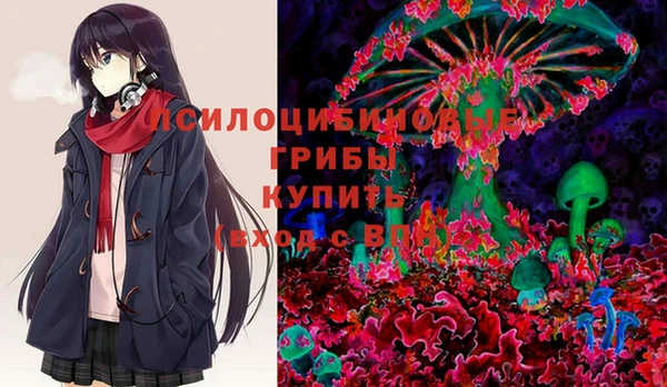 молекула духа Медногорск