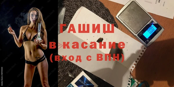 твердый Михайлов