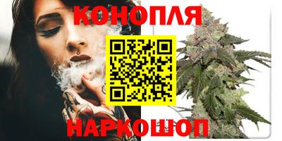 Альфа ПВП Коммунар