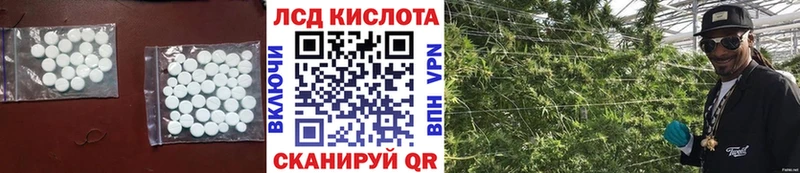 дарнет шоп Сочи ЛСД экстази ecstasy