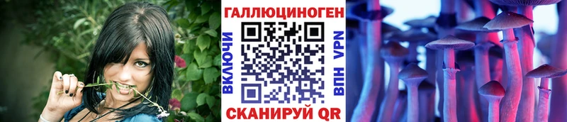 Псилоцибиновые грибы мицелий  Сочи 