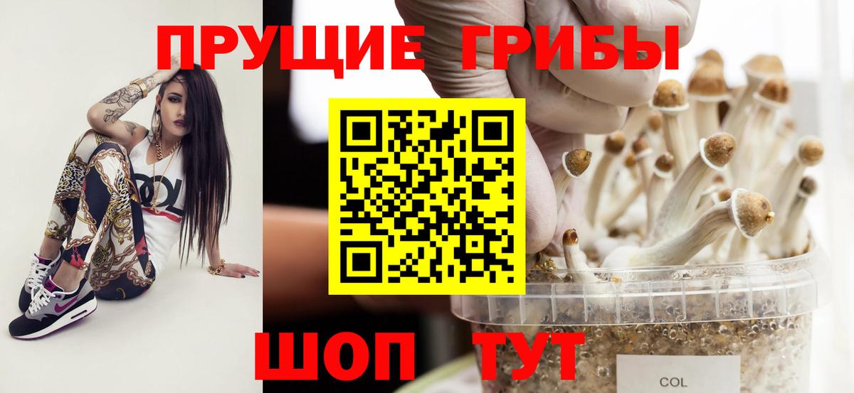 Галлюциногенные грибы прущие грибы Сочи