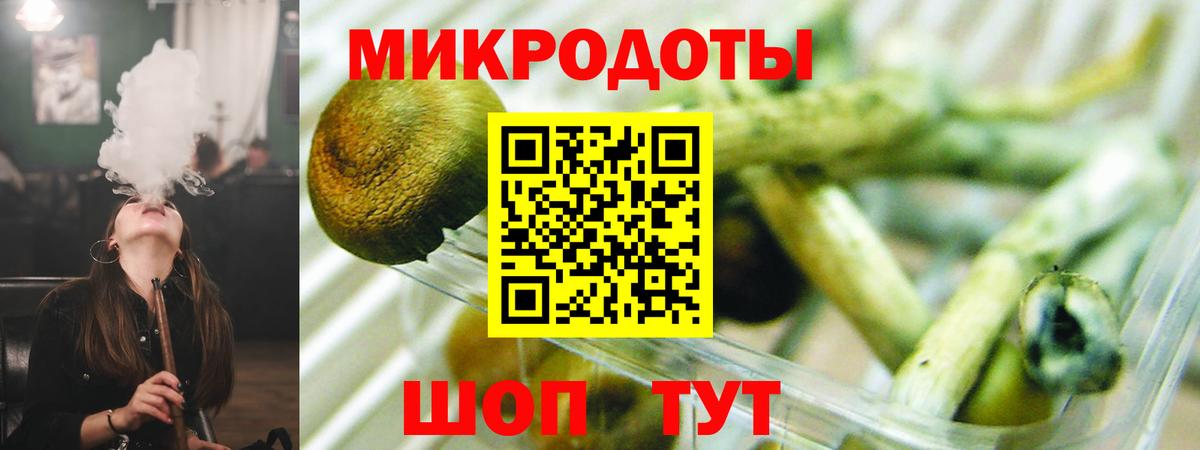 Галлюциногенные грибы Psilocybine cubensis  Вход с VPN  Псилоцибиновые грибы MAGIC MUSHROOMS  Сочи 